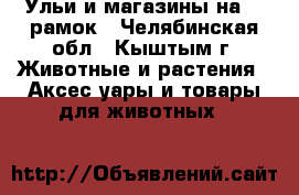 Ульи и магазины на 16 рамок - Челябинская обл., Кыштым г. Животные и растения » Аксесcуары и товары для животных   